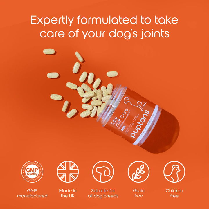 Puptons Total Joint Care 30g