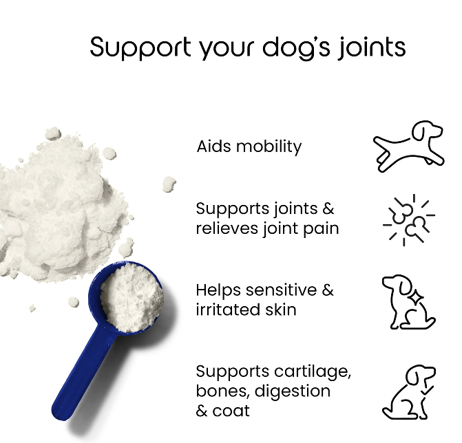 Puptons Collagen Powder 100g