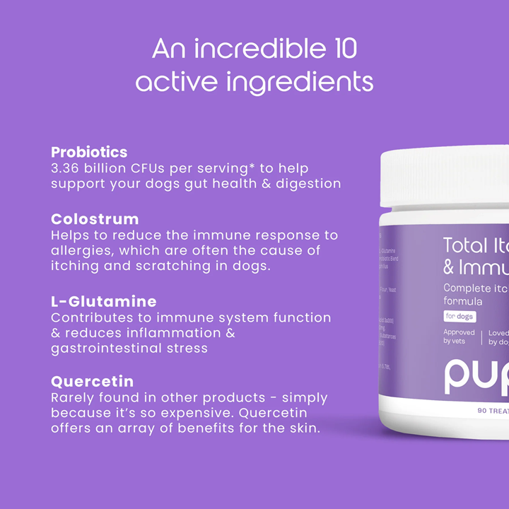 Puptons Total Itch Relief & Immunity Treats 90g