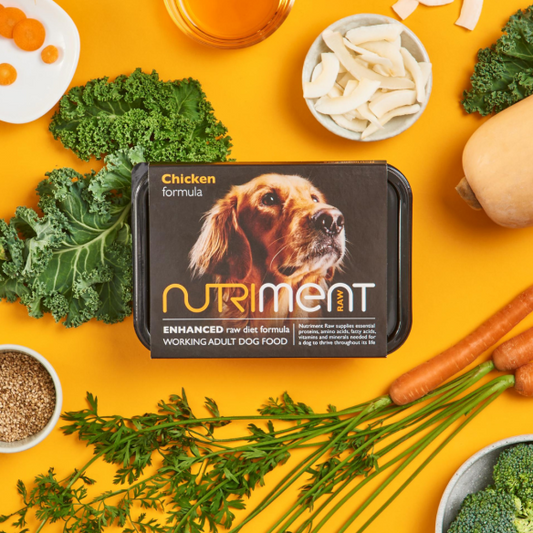 Nutriment Working Dog Chicken Formula Adult 500g