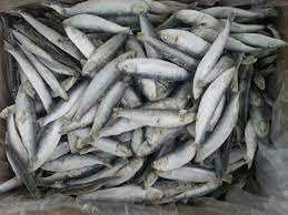 RTPF Sprats 1kg